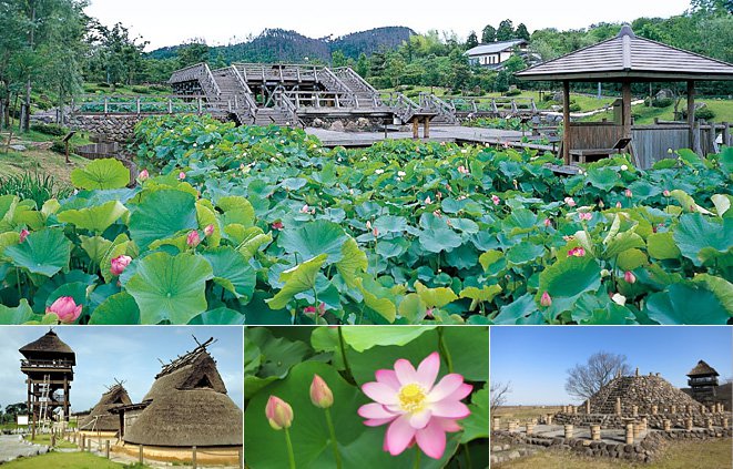 伯耆古代の丘公園の外観