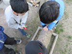 IMG_4284.jpg