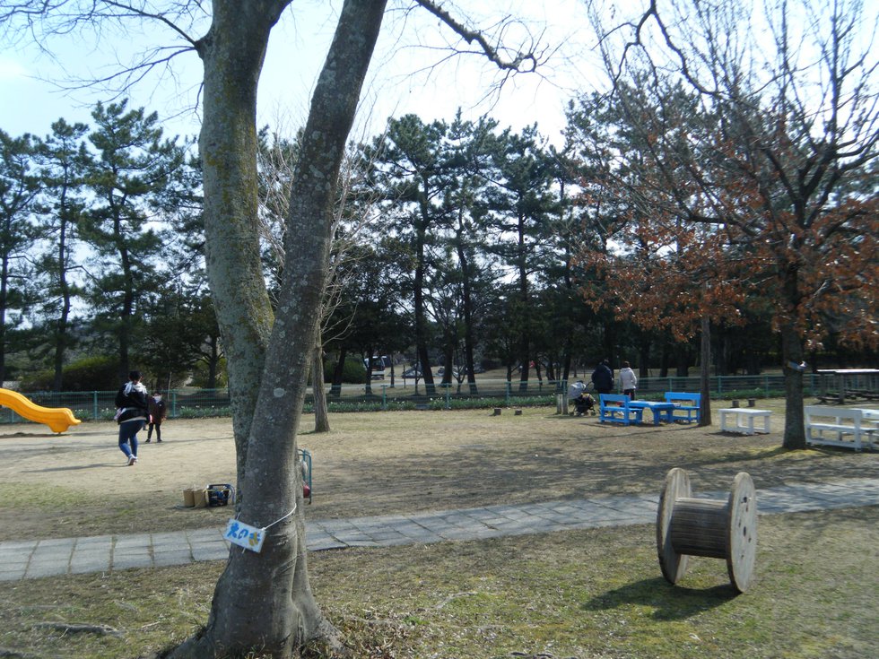 DSCF7905.JPG