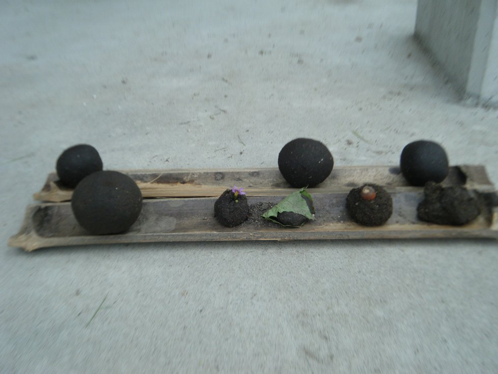 DSCF9187.JPG