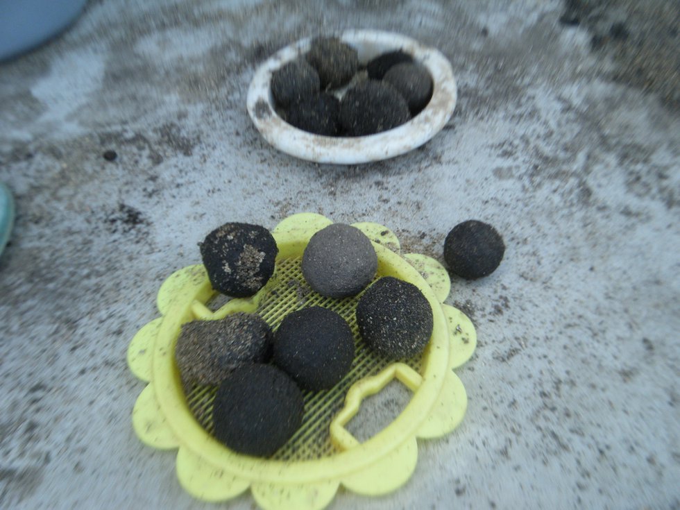 DSCF9157.JPG