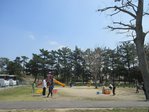 IMG_3621.jpg