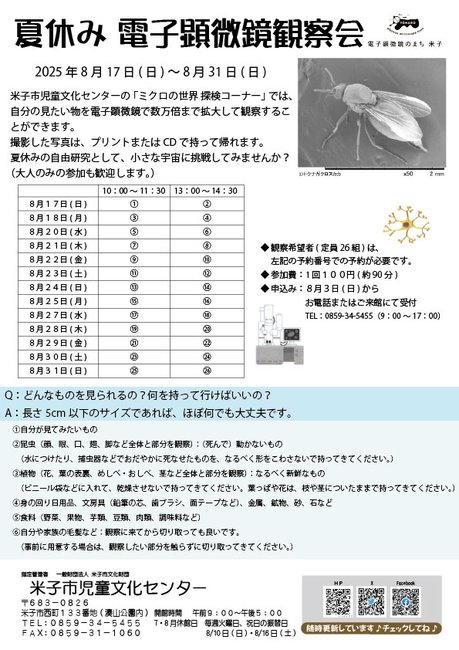 夏休み電子顕微鏡観察会_チラシ.jpg