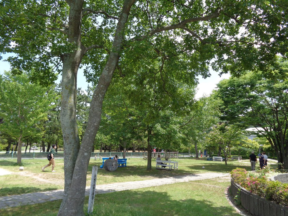 DSC02477.JPG
