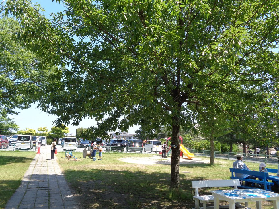DSC02462.JPG