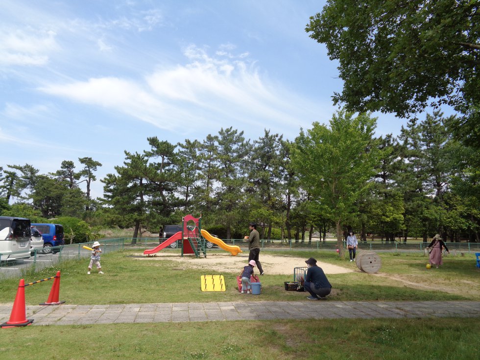 DSC02479.JPG