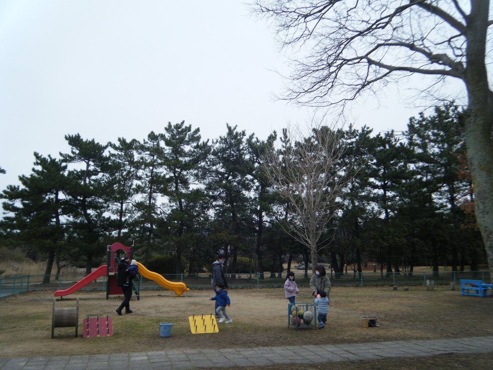 DSCF7895.JPG