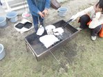 IMG_3131.JPG