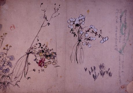 菊、吾木香.jpg