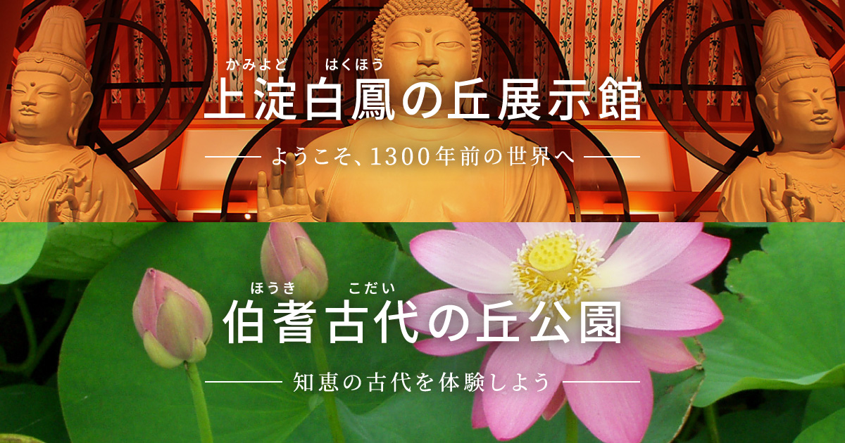 八十八蓮繚乱 ハス月間